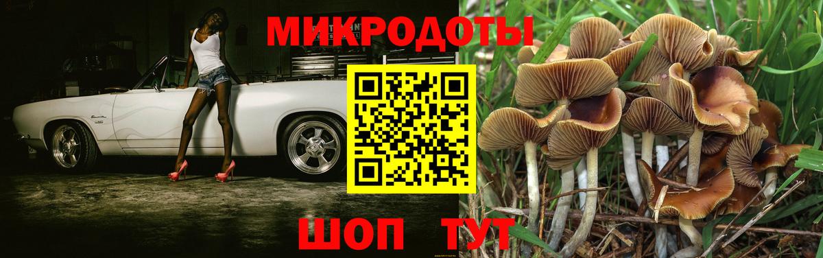 Дятьково  Галлюциногенные грибы ЛСД  Галлюциногенные грибы ЛСД  Вход с VPN 
