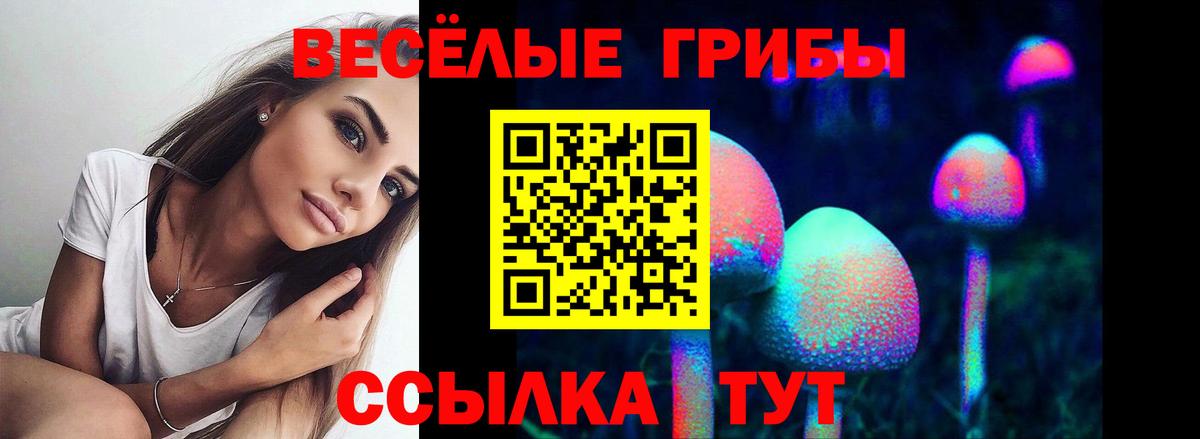 Псилоцибиновые грибы Psilocybe Дятьково