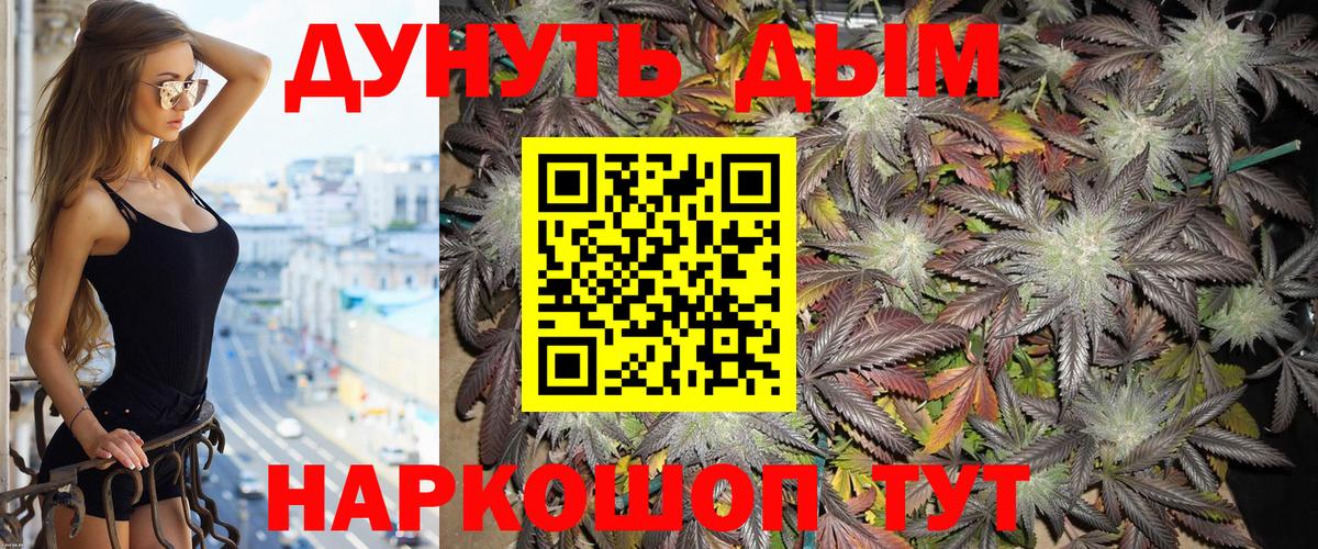 Бошки Шишки сатива Дятьково